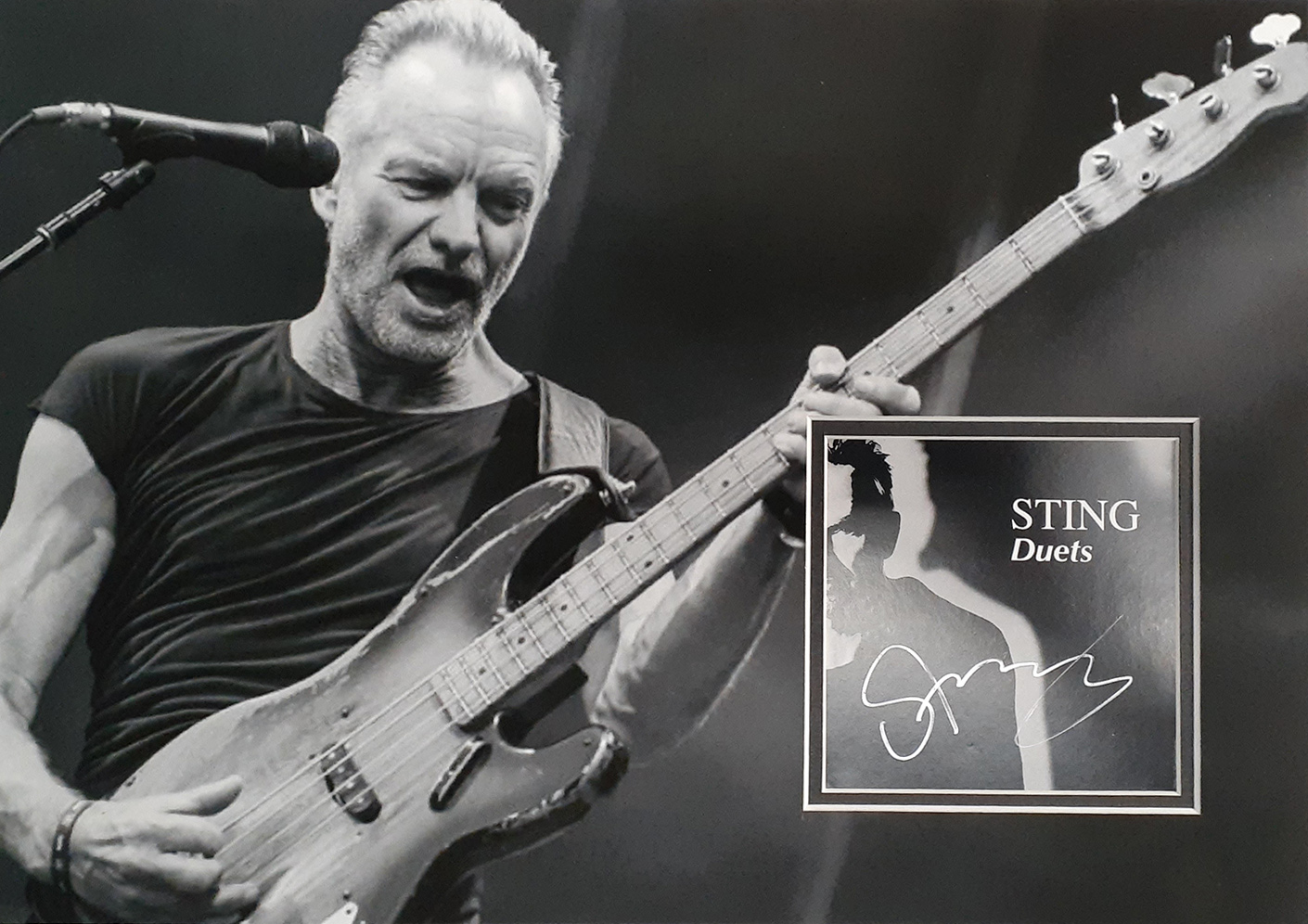 STING custom 12×16 mats for signed CD insert