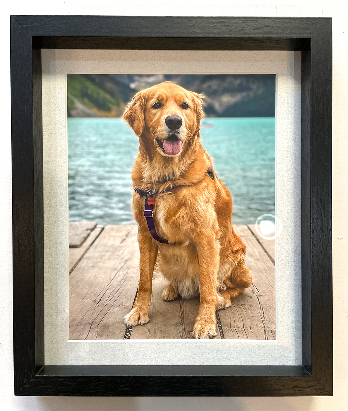 [SHOP] 8X10 inch custom matted PERSONAL PHOTO framed in BLACK or WHITE