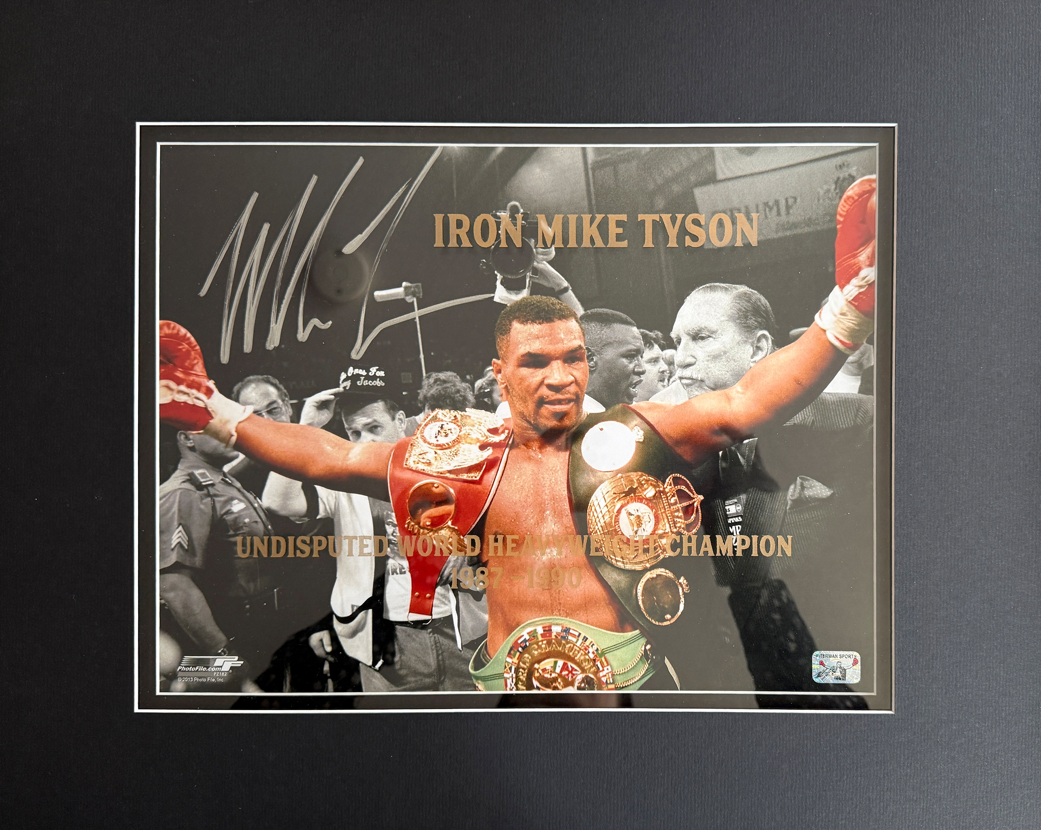 MIKE TYSON autographed Undisputed World Heavyweight Champion 16×20 glass etched frame
