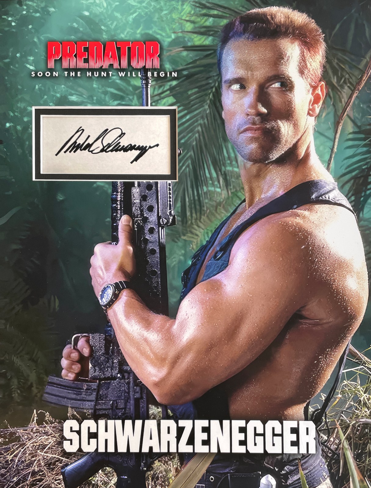 ARNOLD SCHWARZENEGGER Custom 12×16 inch Mat for Signed Book Page